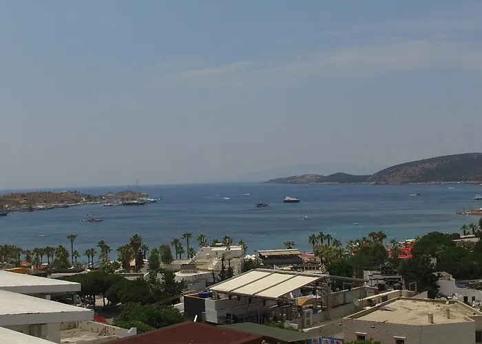 Ξενοδοχείο M2 2*